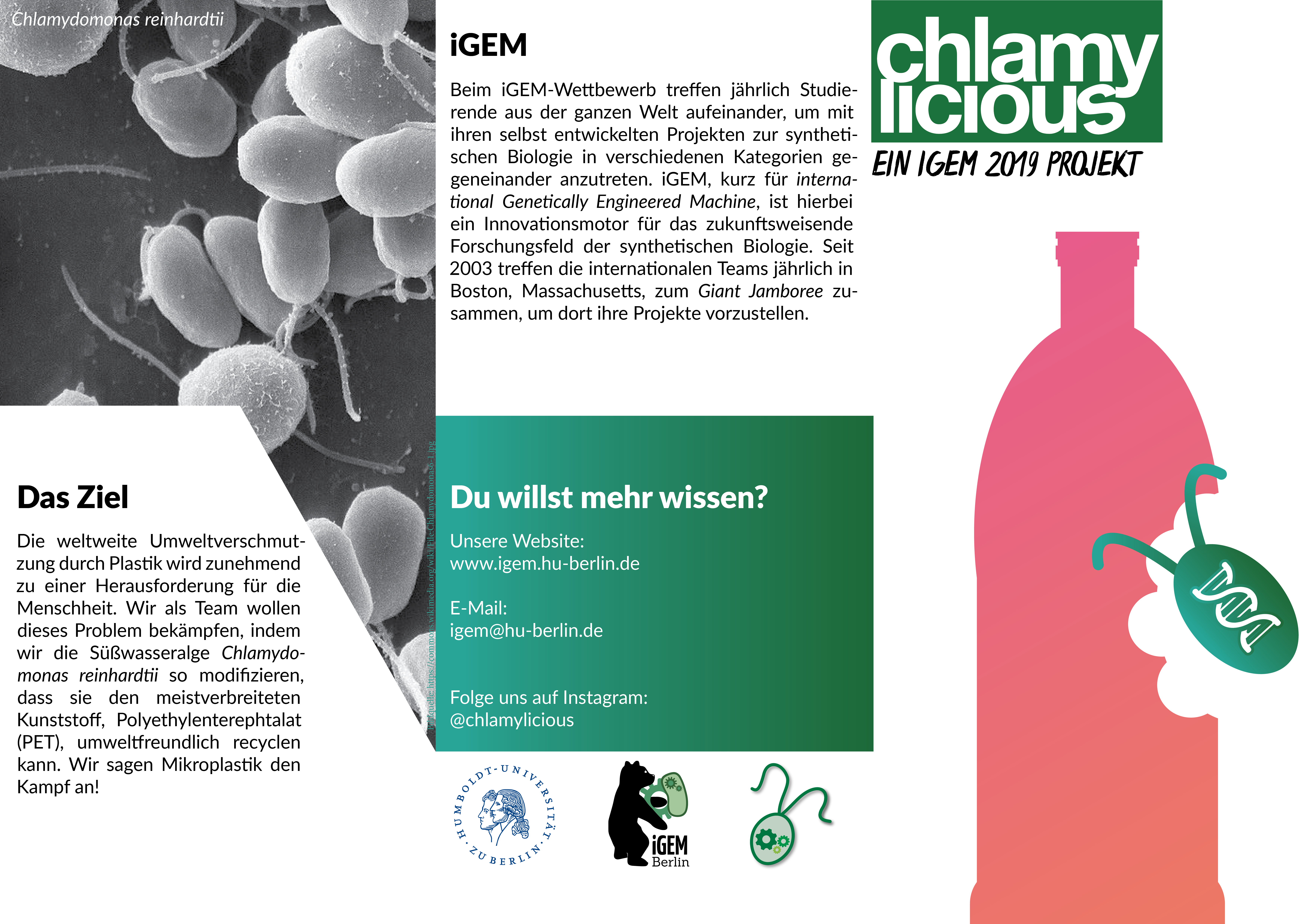 flayer_igem12_12-de-.png